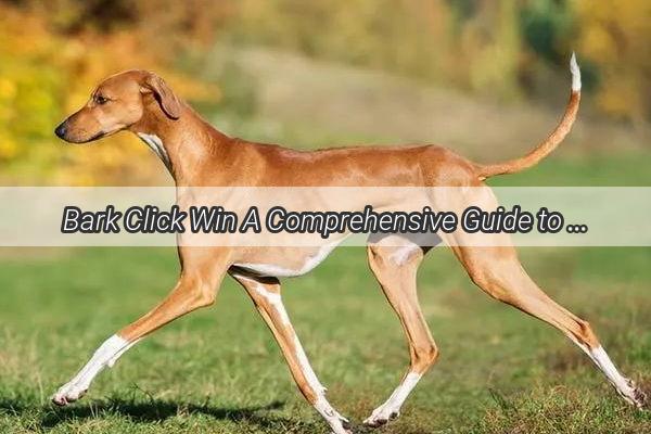 Bark Click Win A Comprehensive Guide to the Best DogThemed Web Games